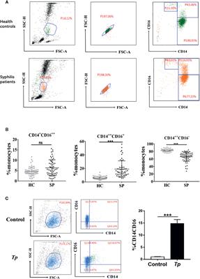 Treponemapallidum Dysregulates Monocytes and Promotes the Expression of IL-1β and Migration in Monocytes Through the mTOR Signaling Pathway